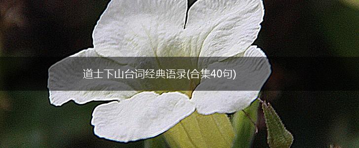 道士下山台词经典语录(合集40句),第1张