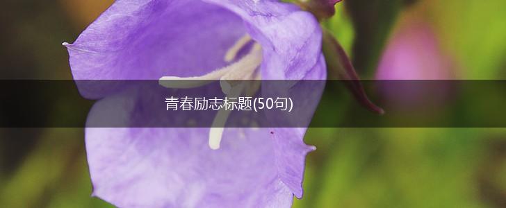青春励志标题(50句),第1张