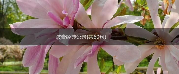 跛豪经典语录(共60句),第1张