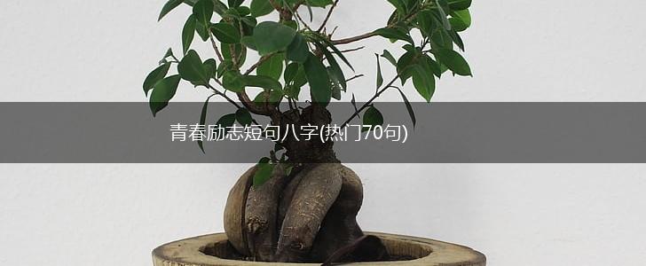 青春励志短句八字(热门70句),第1张