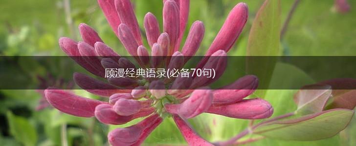 顾漫经典语录(必备70句),第1张