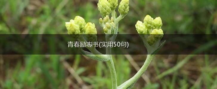 青春励志书(实用50句),第1张