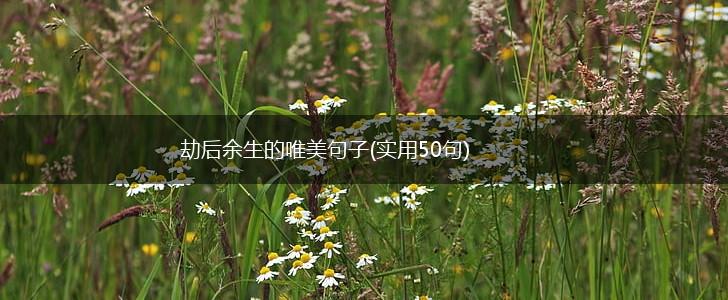 劫后余生的唯美句子(实用50句),第1张