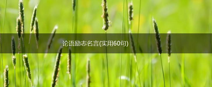 论语励志名言(实用60句),第1张