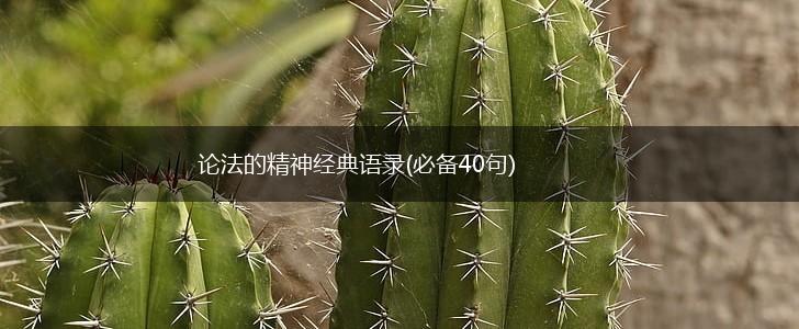 论法的精神经典语录(必备40句),第1张