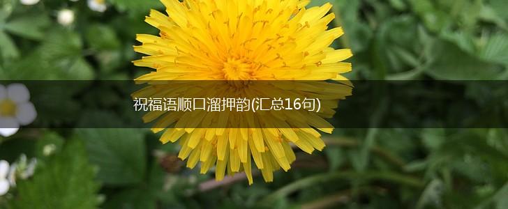 祝福语顺口溜押韵(汇总16句),第1张