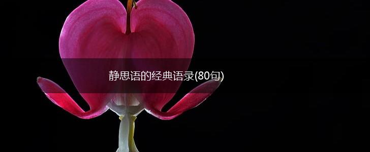 静思语的经典语录(80句),第1张