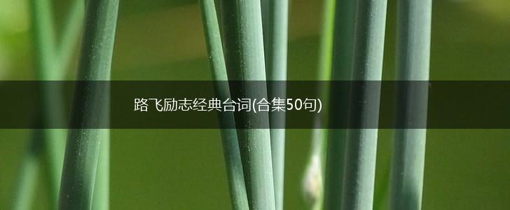 路飞励志经典台词(合集50句),第1张