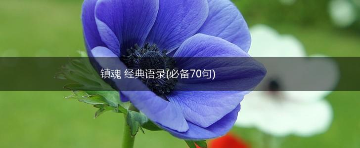 镇魂 经典语录(必备70句),第1张