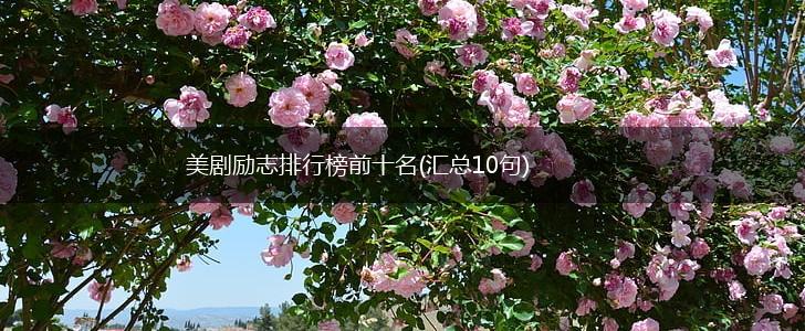 美剧励志排行榜前十名(汇总10句),第1张