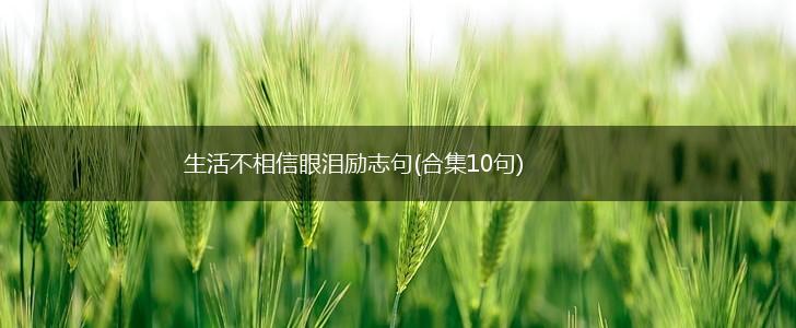 生活不相信眼泪励志句(合集10句),第1张