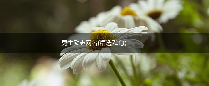 男生励志网名(精选71句),第1张