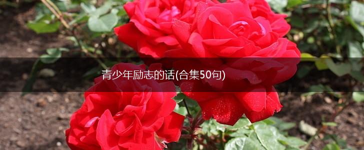 青少年励志的话(合集50句),第1张