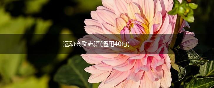 运动会励志语(通用40句),第1张