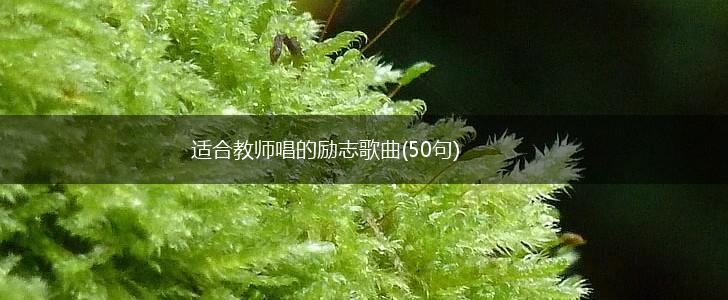 适合教师唱的励志歌曲(50句),第1张