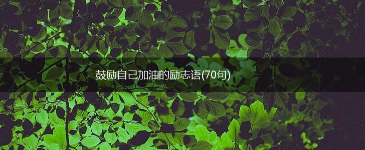 鼓励自己加油的励志语(70句),第1张