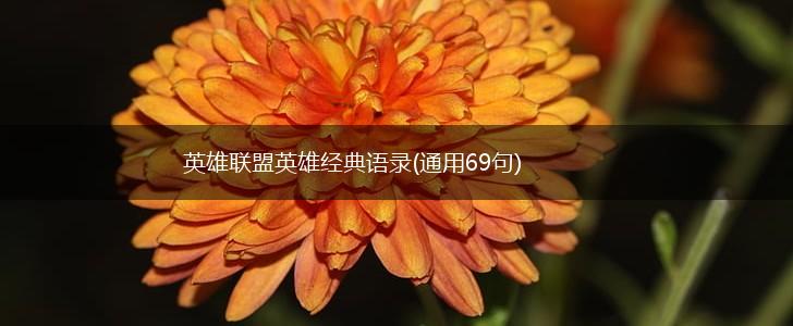 英雄联盟英雄经典语录(通用69句),第1张