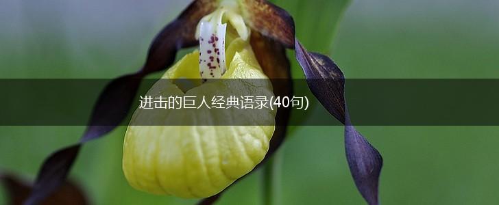 进击的巨人经典语录(40句),第1张