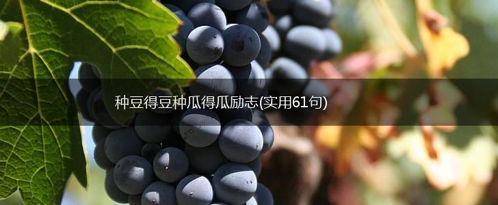 种豆得豆种瓜得瓜励志(实用61句),第1张 种豆得豆种瓜得瓜励志(实用61句),第1张
