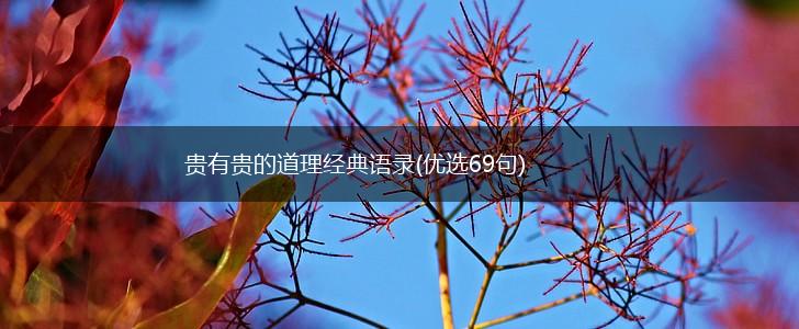 贵有贵的道理经典语录(优选69句),第1张