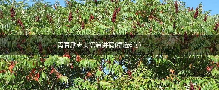 青春励志英语演讲稿(精选6句),第1张