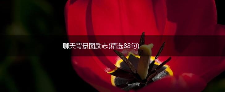 聊天背景图励志(精选88句),第1张