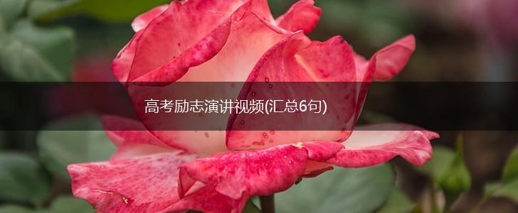 高考励志演讲视频(汇总6句),第1张