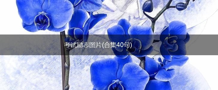 考试励志图片(合集40句),第1张 考试励志图片(合集40句),第1张