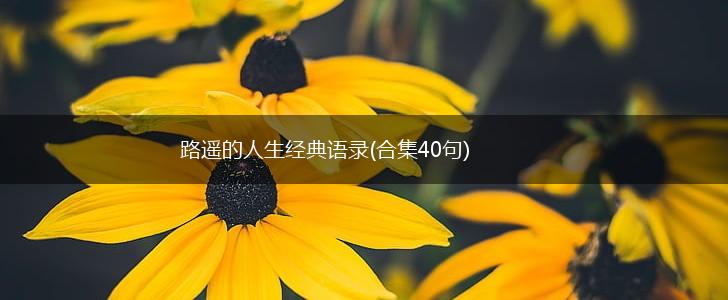路遥的人生经典语录(合集40句),第1张