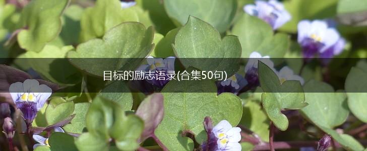 目标的励志语录(合集50句),第1张