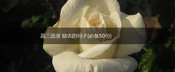 高三语录 励志的句子(必备50句),第1张
