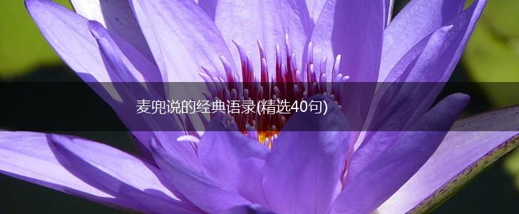 麦兜说的经典语录(精选40句),第1张