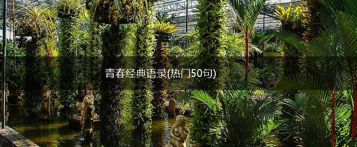 青春经典语录(热门50句),第1张