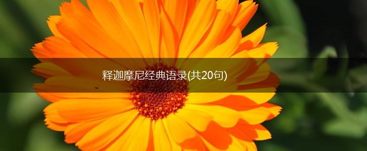 释迦摩尼经典语录(共20句),第1张