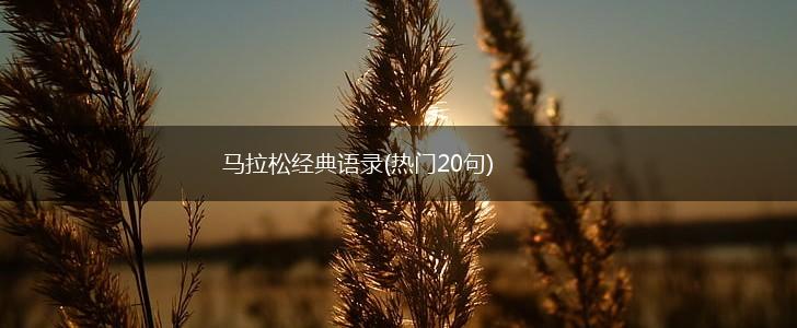 马拉松经典语录(热门20句),第1张