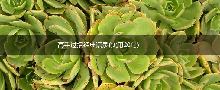 高手过招经典语录(实用20句),第1张