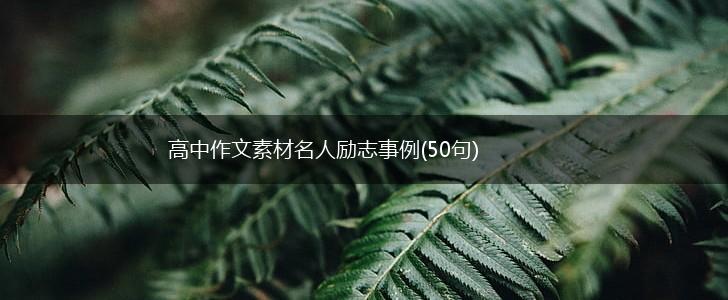 高中作文素材名人励志事例(50句),第1张