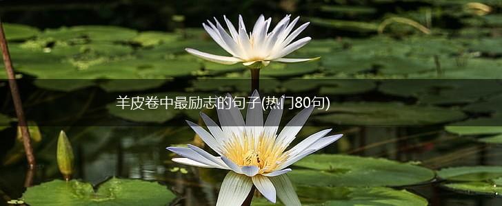 羊皮卷中最励志的句子(热门80句),第1张