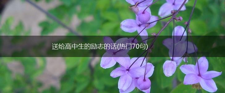 送给高中生的励志的话(热门70句),第1张