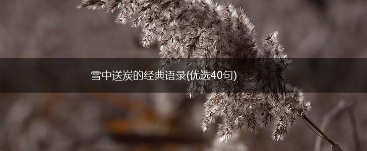 雪中送炭的经典语录(优选40句),第1张