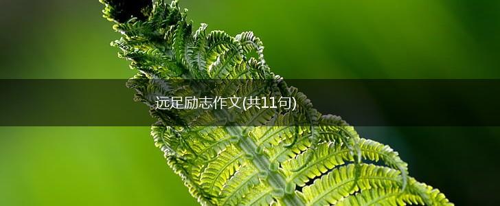 远足励志作文(共11句),第1张