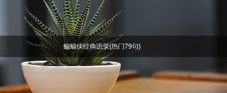 蝙蝠侠经典语录(热门79句),第1张
