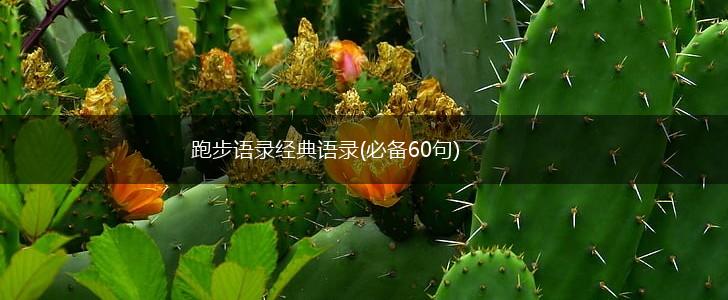 跑步语录经典语录(必备60句),第1张