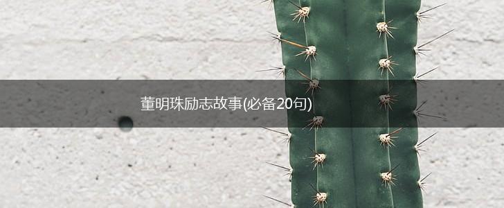 董明珠励志故事(必备20句),第1张