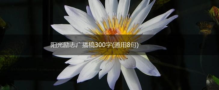 阳光励志广播稿300字(通用8句),第1张