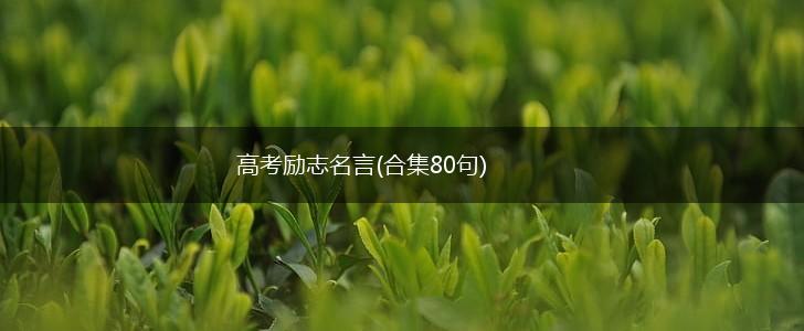 高考励志名言(合集80句),第1张