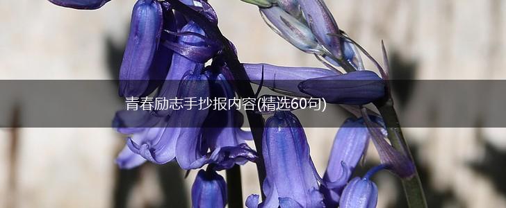 青春励志手抄报内容(精选60句),第1张