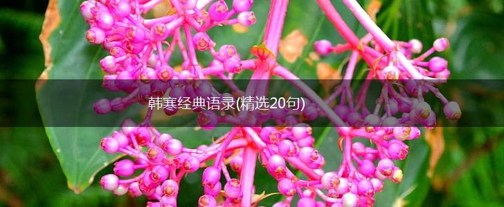 韩寒经典语录(精选20句),第1张
