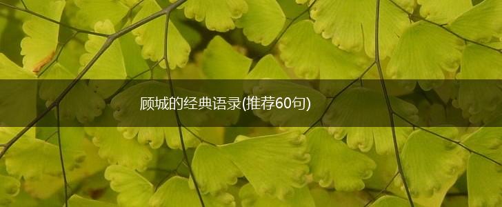 顾城的经典语录(推荐60句),第1张