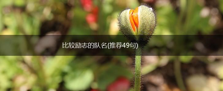 比较励志的队名(推荐49句),第1张